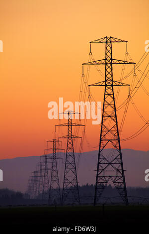 Rangée de pylônes électriques au coucher du soleil, Mi Canterbury, île du Sud, Nouvelle-Zélande Banque D'Images