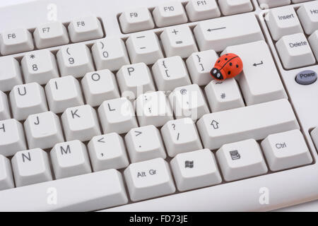 Ladybird ladybug / sur un clavier de PC - comme une métaphore visuelle pour le concept de 'bug' ou 'infection virale / system'. Banque D'Images