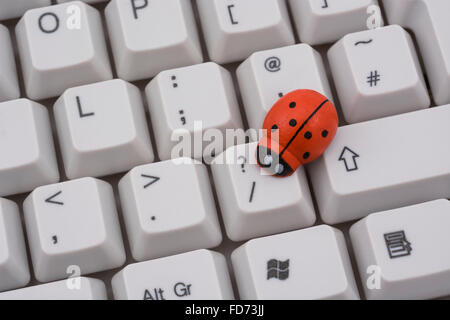 Ladybird ladybug / sur un clavier de PC - comme une métaphore visuelle pour le concept de 'bug' ou 'infection virale / system'. Banque D'Images