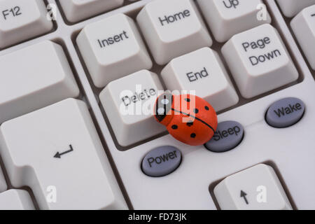 Ladybird ladybug / sur un clavier de PC - comme une métaphore visuelle pour le concept de 'bug' ou 'infection virale / system'. Banque D'Images