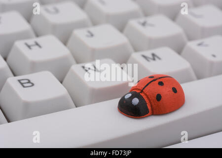 Coccinelles / coccinelles sur un clavier de PC - comme une métaphore visuelle pour le concept de 'bug' ou 'infection virale / system'. Banque D'Images