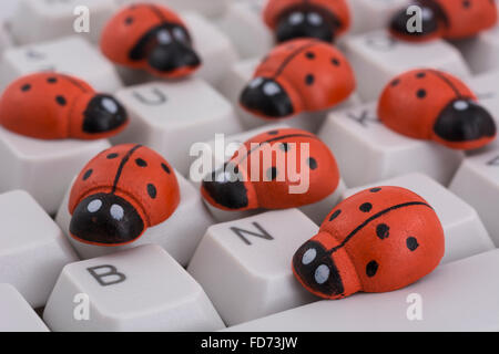 Coccinelles / coccinelles sur un clavier de PC - comme une métaphore visuelle pour le concept de 'bug' ou 'infection virale / system'. Banque D'Images