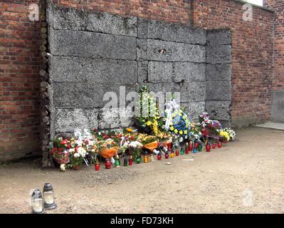 Lieu d'exécution à Auschwitz Birkenau avec des fleurs Banque D'Images