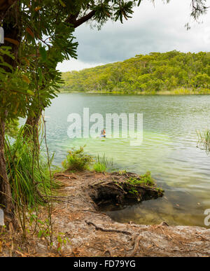 Woman swimming in the perfect trou d'eau douce du lac bleu sur l'Île Stradbroke-nord, Queensland, Australie Banque D'Images