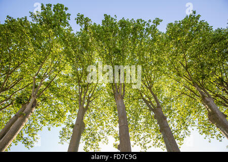 Saint Antonin Noble Val Banque D'Images