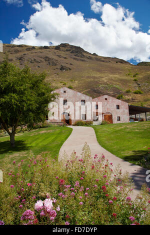 Chard Farm Vineyard, Gibbston Valley, près de Queenstown, Otago, île du Sud, Nouvelle-Zélande Banque D'Images