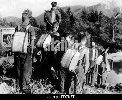 Civilian Conservation Corps : Roosevelt, 1933 Armée de la forêt Banque D'Images