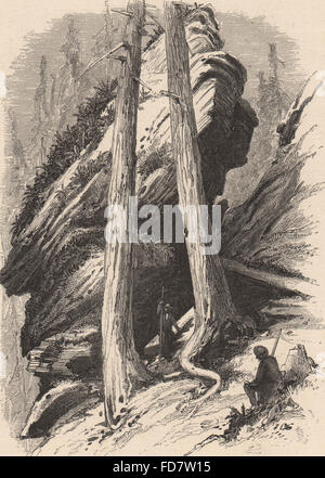 État de New York : Druid Rocks. Catskills, antique print 1874 Banque D'Images