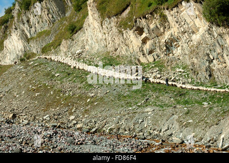 Georgien, Mtskheta-Mtianeti, Schafherde mit Hirten südlich von Stepansminda, Banque D'Images