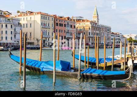 Belle black gondolas docked aux pôles sur le Grand Canal à Venise Italie Banque D'Images