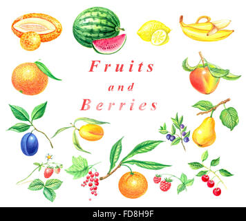 Aquarelle set fruits et de baies isolées sur fond blanc Banque D'Images