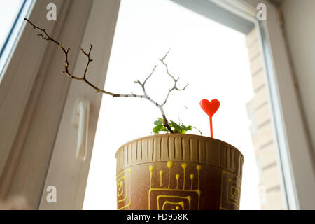Pousser dans un pot avec des canapés du cœur sur le rebord. En attente de l'amour printemps concept. Copier l'espace. Banque D'Images
