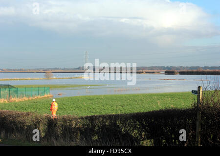 Champs inondés près de Rufford à la suite d'une culasse dans les rives de la rivière Douglas en West Lancashire Banque D'Images