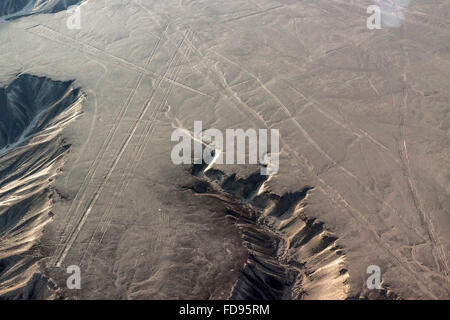 Oiseau de ronflement et des trapèzes. Désert de Nazca. Banque D'Images