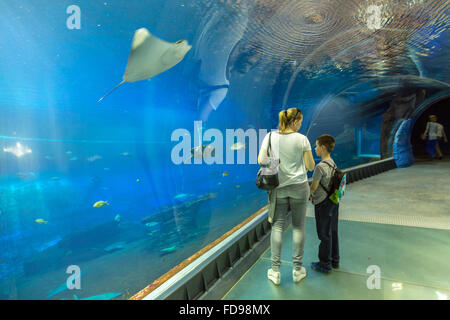 Wroclaw, Pologne, Aquarium de la partie inférieure de l'Afrykarium au Zoo de Wroclaw Banque D'Images