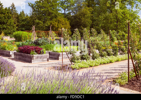 Le potager à Rudding Park, North Yorkshire, UK. L'été, juillet 2015. Banque D'Images