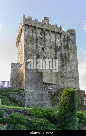Le célèbre château de Blarney, Blarney, Cork, Irlande. Banque D'Images