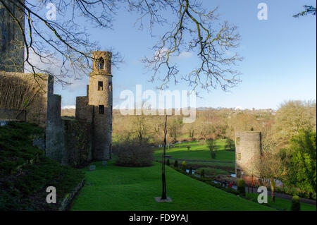 Une vue sur le château de Blarney et de jardins, Cork, Irlande. Banque D'Images