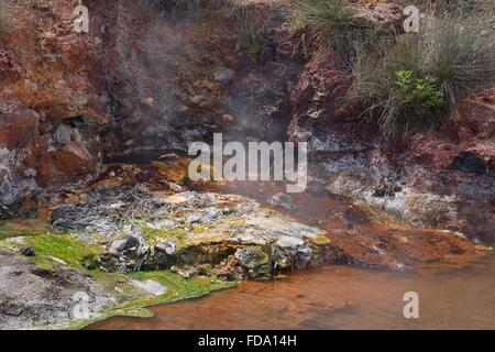 L'augmentation de la vapeur d'une centrale thermique, comme l'eau bouillante à partir de sources d'eau chaude s'écoule dans elle, avec excroissances colorées d'algues bleu-vert. Banque D'Images