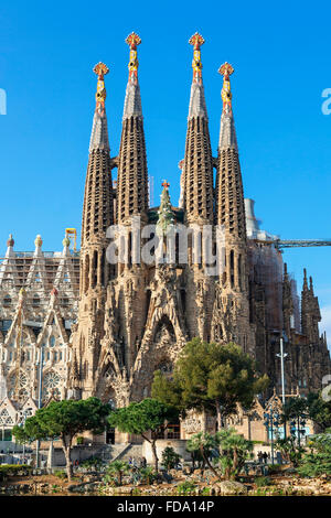 Barcelone, Sagrada Familia d'Antoni Gaudi Banque D'Images