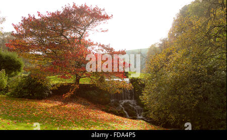 Peu Breedy Cascade, UK Angleterre Dorchester Banque D'Images
