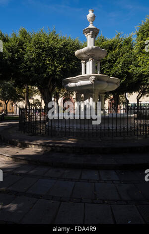 La Plaza del Adelantado dans San Cristobal de La Laguna, Tenerife, Canaries, Espagne. Banque D'Images