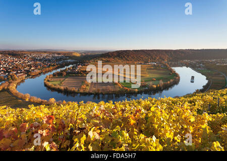 Neckar bend à l'automne, à Mundelsheim, Bade-Wurtemberg, Allemagne Banque D'Images