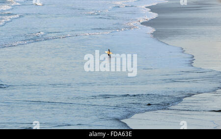 Lone surfer les vagues d'approches, la plage de Fistral, Cornwall, UK Banque D'Images