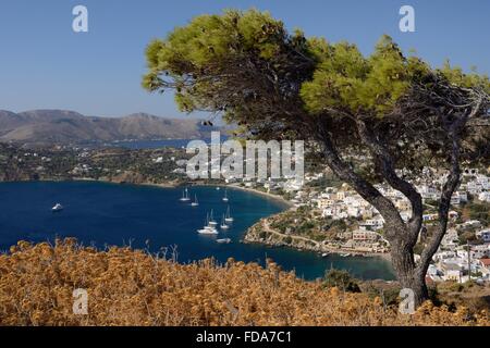 Pine Tree turc (Pinus brutia) sur une colline au-dessus du village et du port de Panteli, Leros, Dodécanèse, Grèce. Banque D'Images