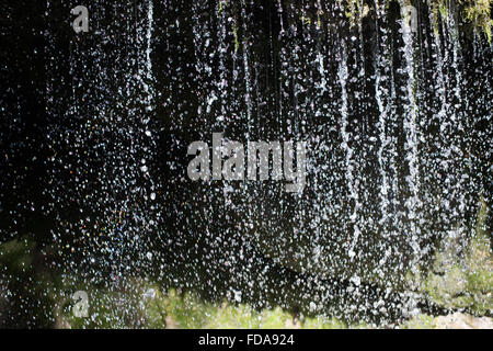 Lenzkirch, Allemagne, l'eau coule vers le bas pour les arbustes Banque D'Images