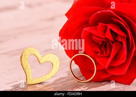 Rose rouge dans l'amour de saint valentin, anniversaire et fête des mères Banque D'Images