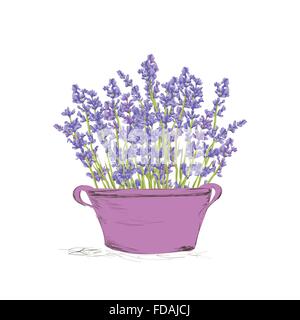 Faites à la main des fleurs de lavande en pot vintage . Hand drawn design pour carte de remerciement, carte de Vœux ou d'invitation. Vector illustrat Illustration de Vecteur