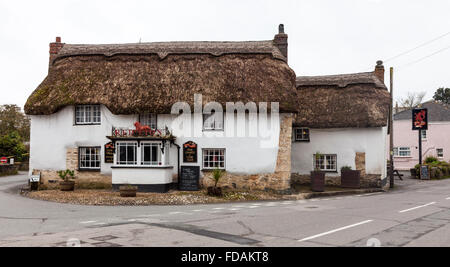 Red Lion Pub ou public house à Mawnan Smith Cornwall England UK Banque D'Images