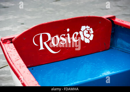 Gouttes de pluie sur Rosie Banque D'Images