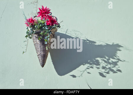 Une suspension avec des fleurs sur un mur vert avec ombres dues au soleil Banque D'Images