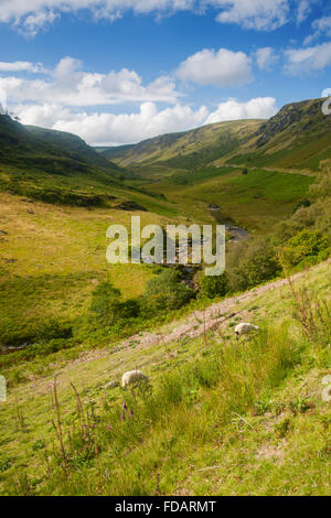 Col Abergwesyn Irfon valley Cambrian Mountains Powys Pays de Galles UK Banque D'Images