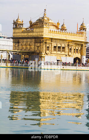 Des groupes ou des foules Golden Temple d'Amritsar Gurdwara Banque D'Images