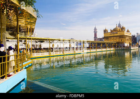 Des groupes ou des foules Golden Temple d'Amritsar Gurdwara Banque D'Images