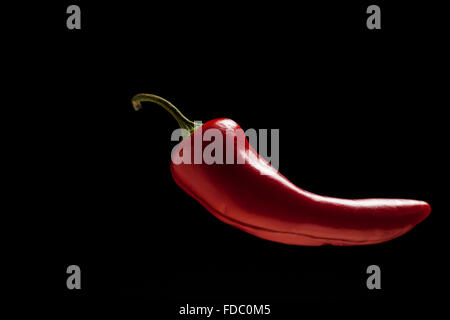 Spicy Red chili isolé sur un fond sombre avec beaucoup de copy space Banque D'Images