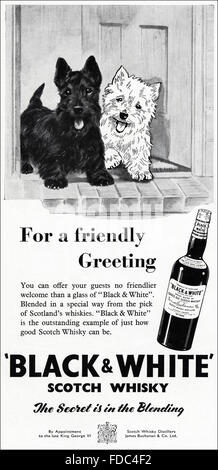 Vintage Original advert à partir de 1950. Annonce de publicité 1954 Black & White Scotch Whisky.