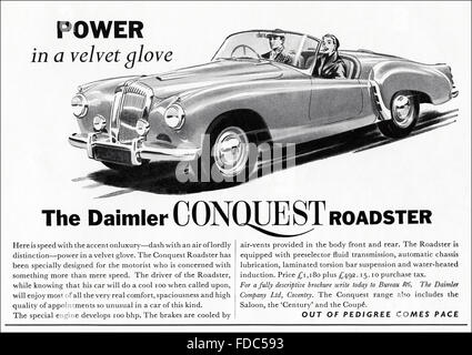 Vintage Original advert à partir de 1950. Annonce de la nouvelle publicité 1954 Daimler Conquest Roadster voiture. Banque D'Images