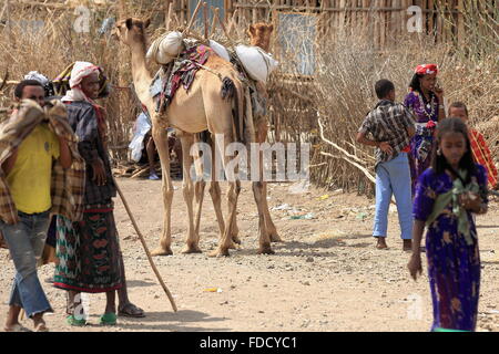 SENBETE, Ethiopie-24 mars : Camel pasteurs du peuple Afar assister le marché du dimanche où l'Amhara afar-oromo-peuples rencontrez Banque D'Images