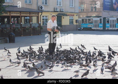 L'homme se nourrit beaucoup de pigeons sur la ville Road dans la partie centrale de Lviv Banque D'Images