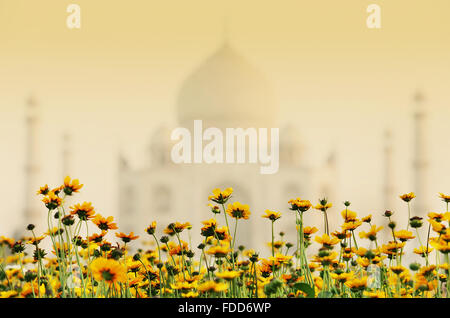 Taj Mahal en Inde, Agra, Uttar Pradesh, de l'Asie Banque D'Images