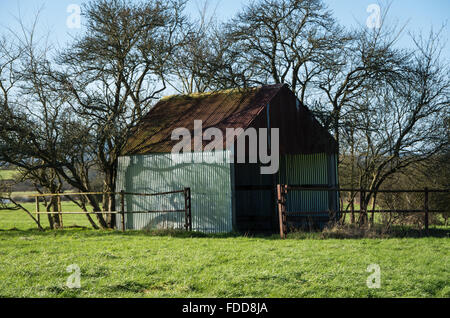 Un hangar en tôle ondulée ou grange dans un champ entouré d'arbres dans la campagne du Sussex en hiver, au Royaume-Uni. Banque D'Images