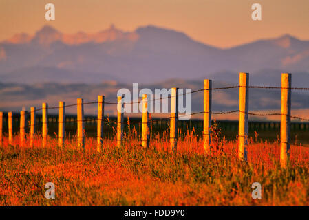 Des terres agricoles dans le sud de l'Alberta, Canada Banque D'Images