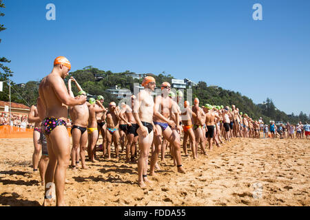 Grand Macquarie nager, 42e grand nager de Palm Beach à Whale Beach Sydney, un 2.8km natation de l'océan qui fait partie de l'océan, série Pittwater nage les concurrents ont un démarrage échelonné pour les hommes/femmes et de tranches d'âge. Il y a également un 1km plus court bien sûr. C'est l'un de l'Australie ; la fameuse nage de l'océan et attire de nombreux concurrents masculins et féminins @ alamylivenews10 modèle. Banque D'Images