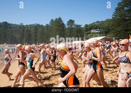 Grand Macquarie nager, 42e grand nager de Palm Beach à Whale Beach Sydney, un 2.8km natation de l'océan qui fait partie de l'océan, série Pittwater nage les concurrents ont un démarrage échelonné pour les hommes/femmes et de tranches d'âge. Il y a également un 1km plus court bien sûr. C'est l'un de l'Australie ; la fameuse nage de l'océan et attire de nombreux concurrents masculins et féminins. Modèle : crédit10/Alamy Live News Banque D'Images