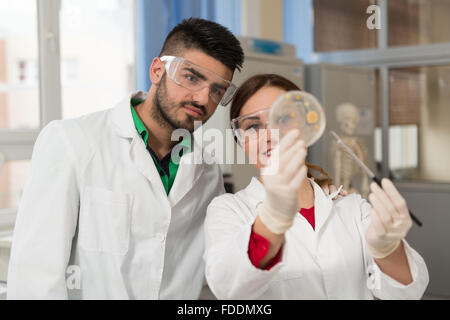 Groupe d'élèves du secondaire travaillent ensemble à la classe de laboratoire Banque D'Images