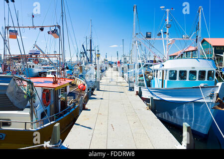 Victoria Dock à Hobart, Tasmanie avec bateaux de pêche sur une journée ensoleillée Banque D'Images